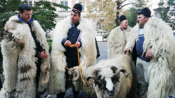 Oierii la Ministerul Agriculturii
