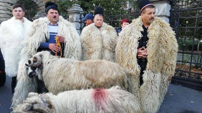 Oieri la Ministerul Agriculturii