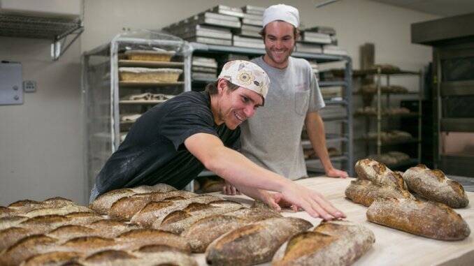 Fonduri europene brutarie