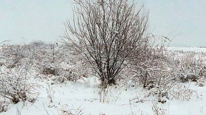 Teren care nu ar trebui sa primeasca subventie