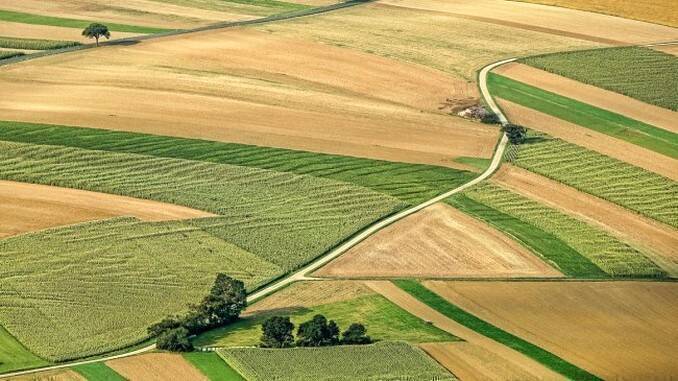 Preturi la Cadastru 2019