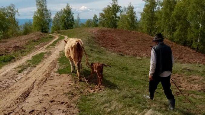 Foto: Any Maris/Facebook