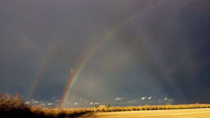 Foto: www.pinterest.co.kr