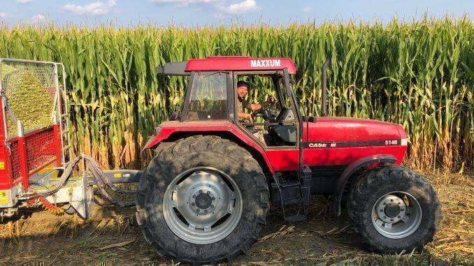 Fermierii Kiss Sandor și Kis Cs Csaba 80 t/ha, a fost obținută cu acest hibrid în localitatea Cristuru Secuiesc, județul Harghita .