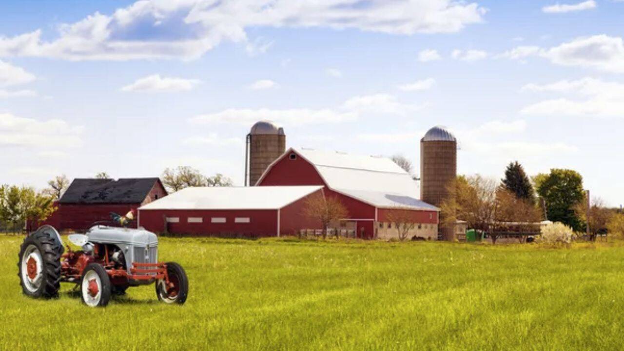 o ferma pe un camp si un tractor