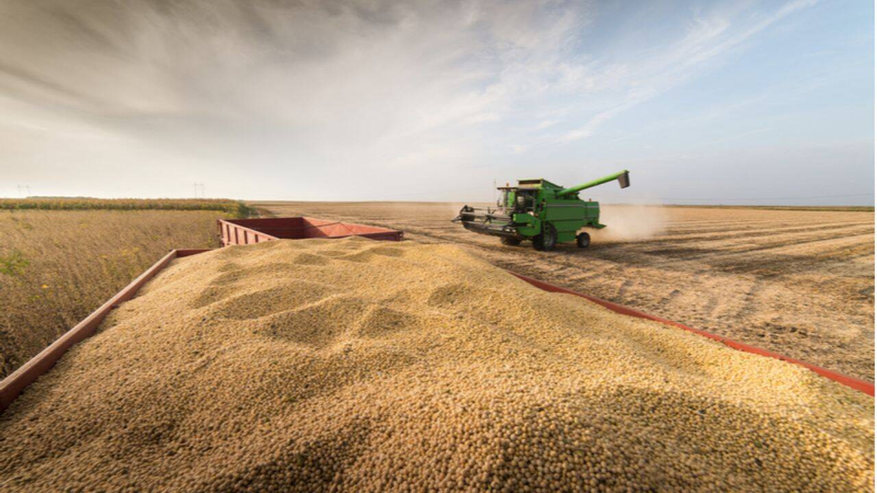 utilaje care recolteaza soia