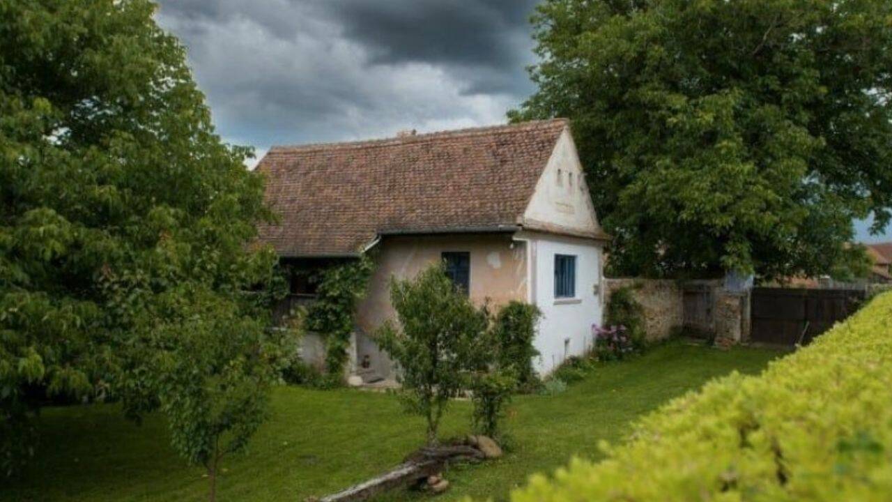 o casa si curte cu pomi