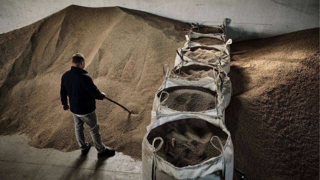 o persoana intr-un depozit de cereale si saci cu cereale