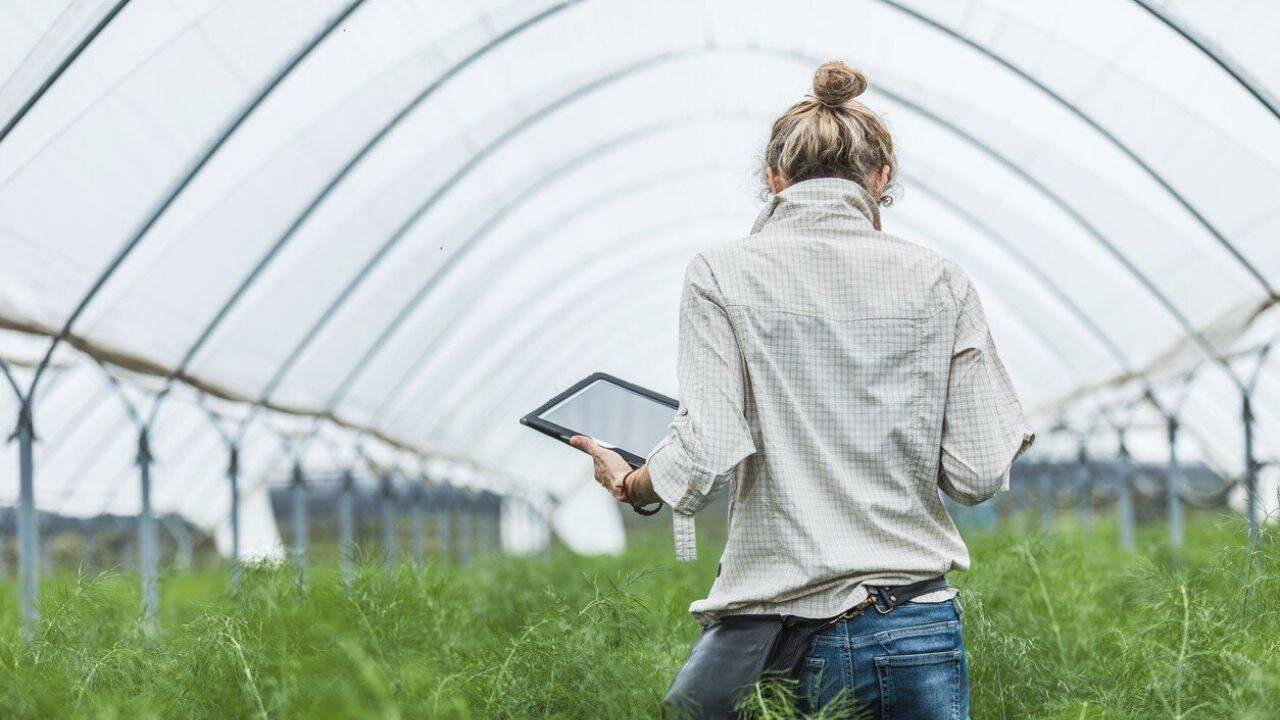 o persoana intr-o sera