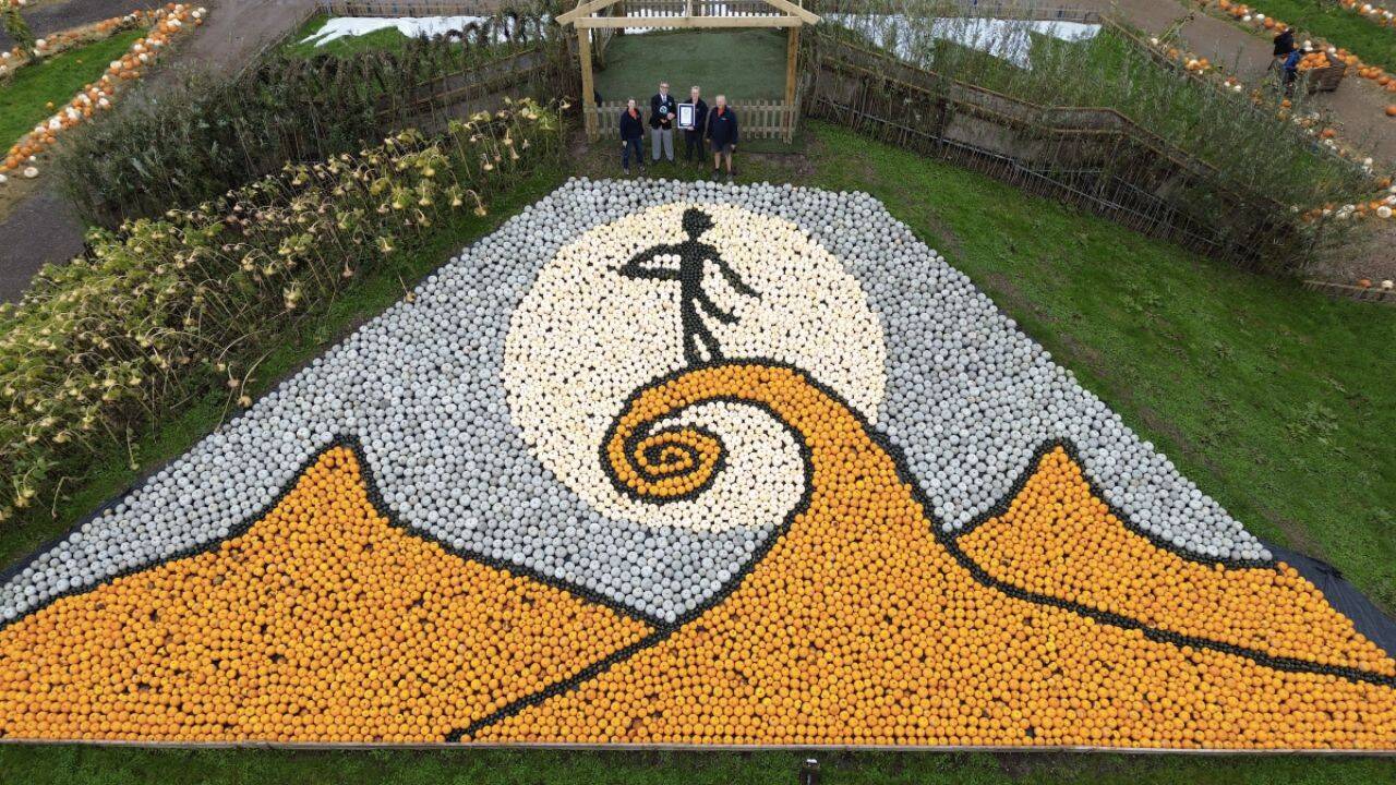 un mozaic imens facut din dovleci