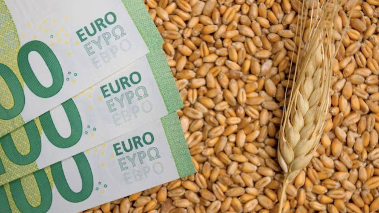 bancnote euro si grau