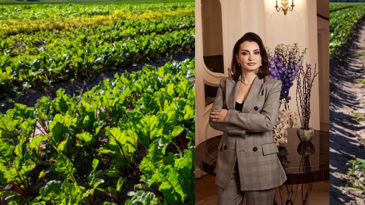 Mihaela Neagu, proprietara fabricii de zahăr Luduş