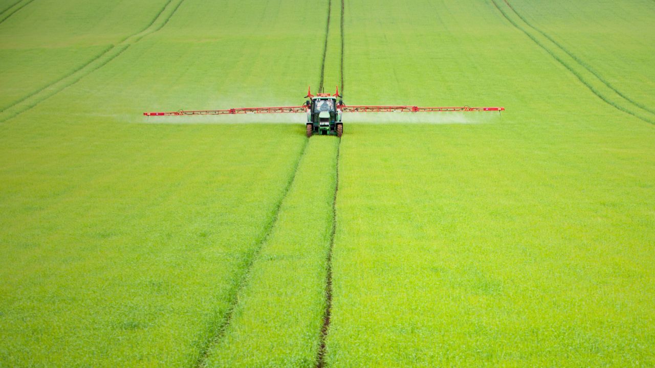 Erbicidare cereale păioase