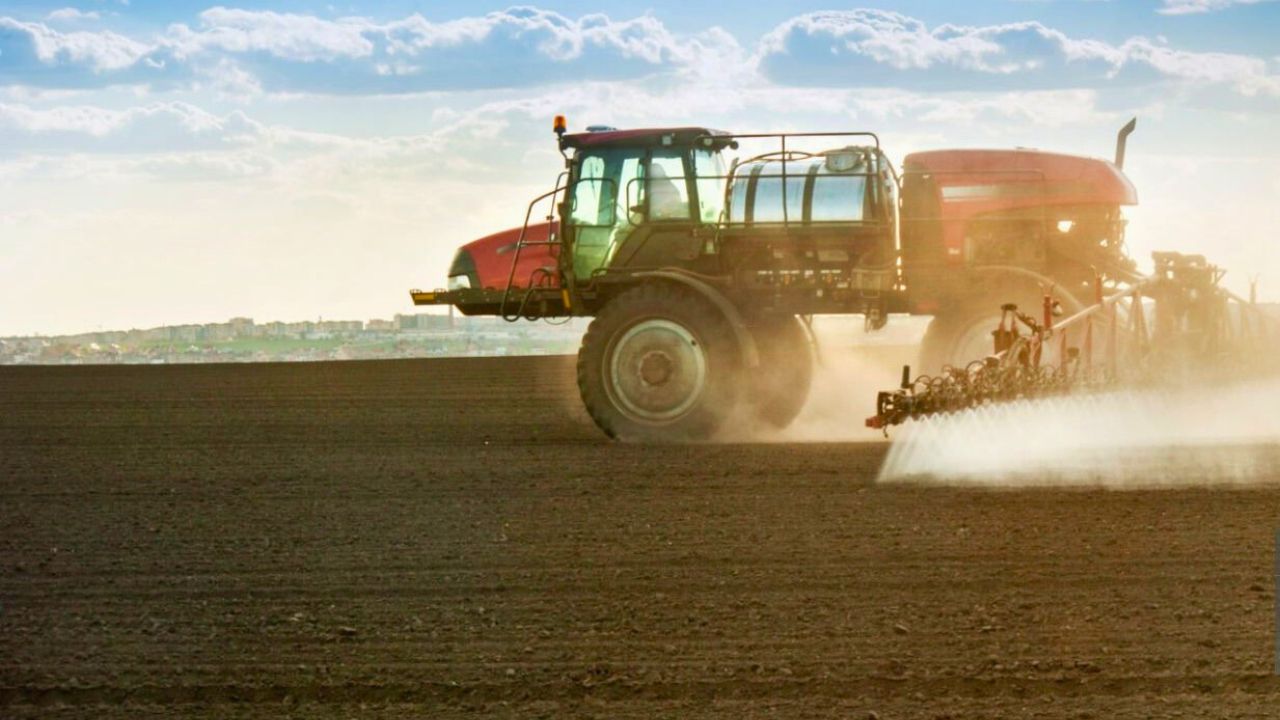 Erbicidare cultură de mazăre proaspăt semănată