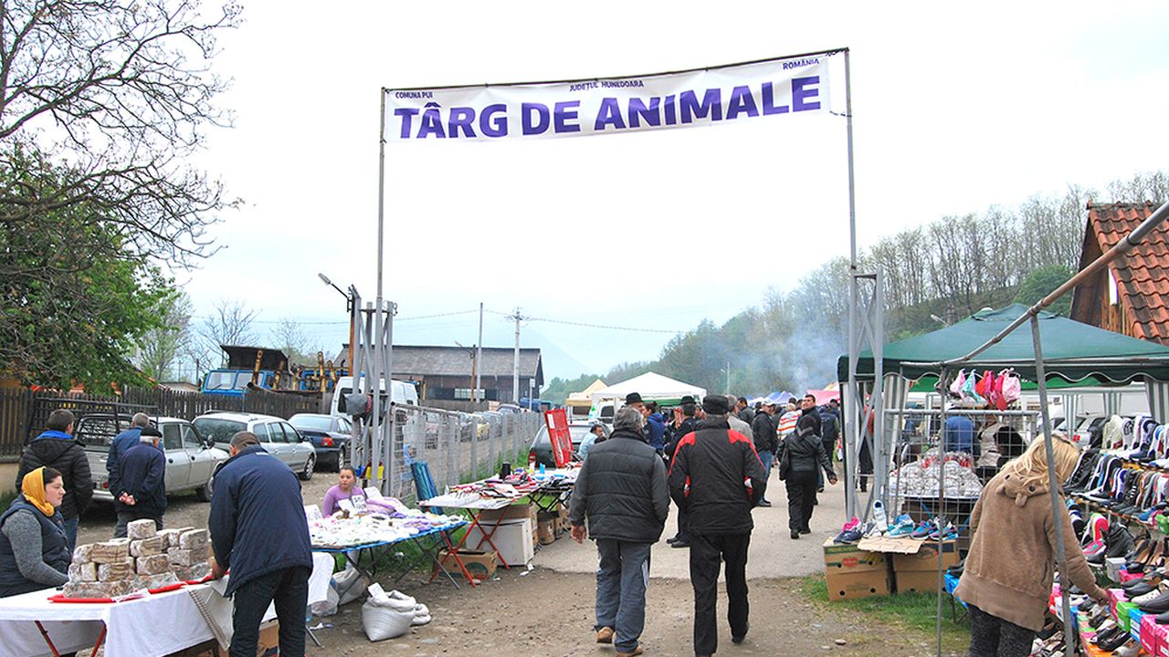 targ de animale