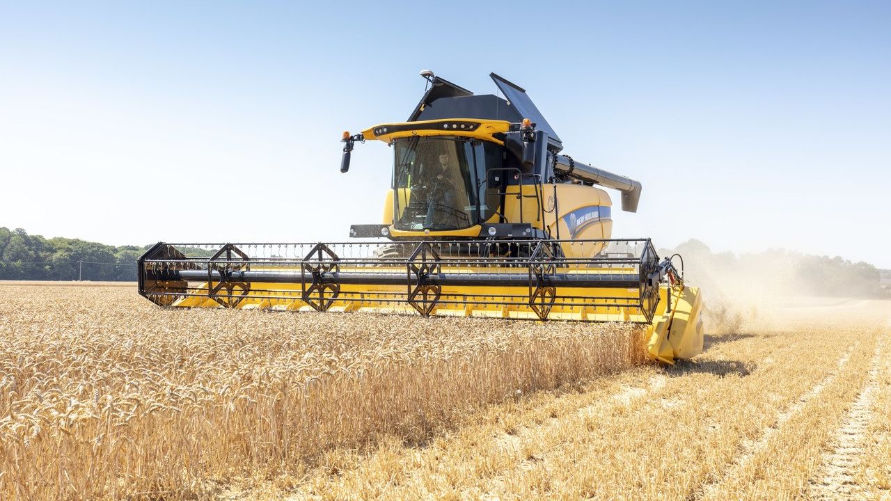 Solicitați oferta pentru grâu Artico - 0758.555.444