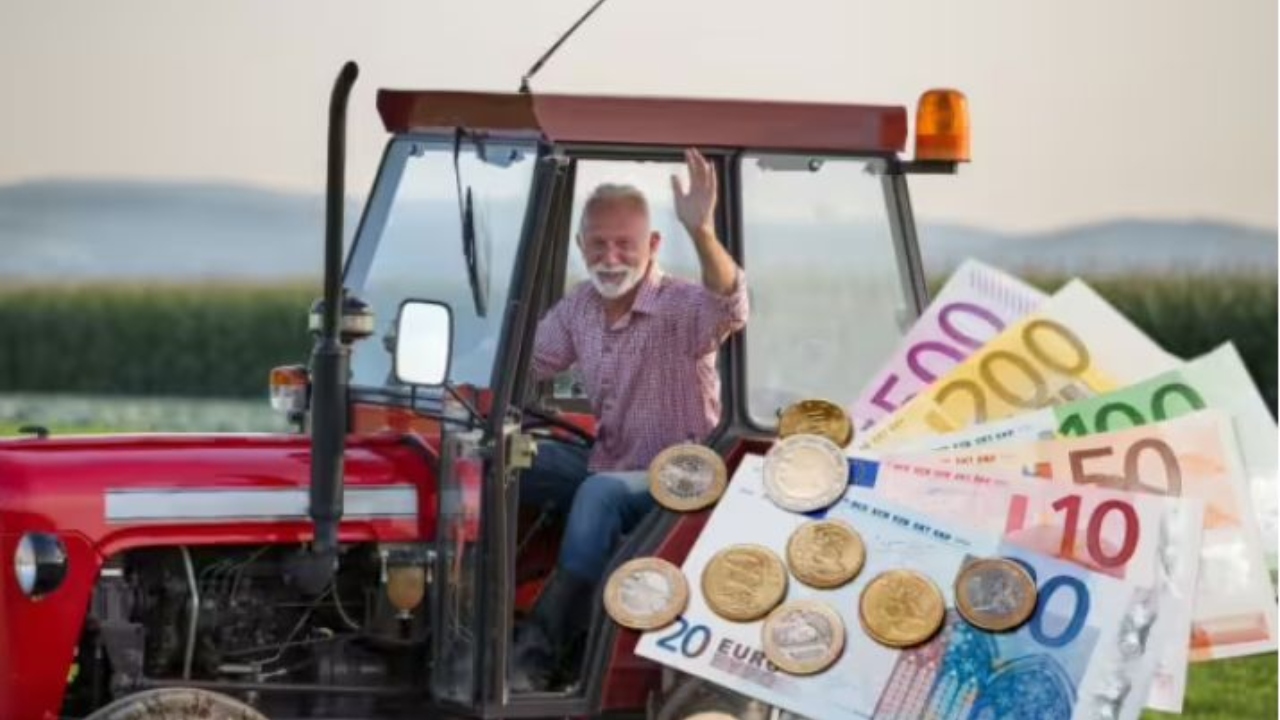 Decizie pentru plățile APIA