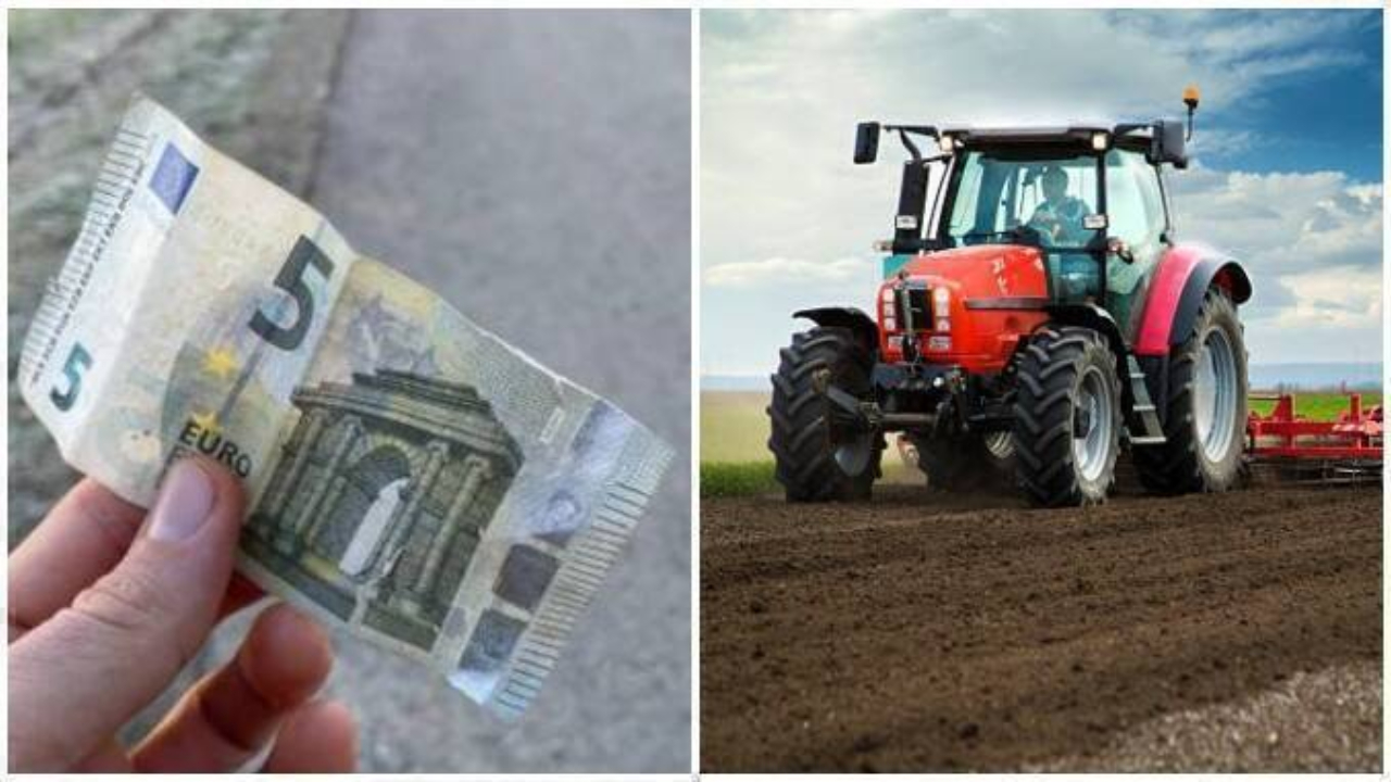 Femierii atenționați de APIA