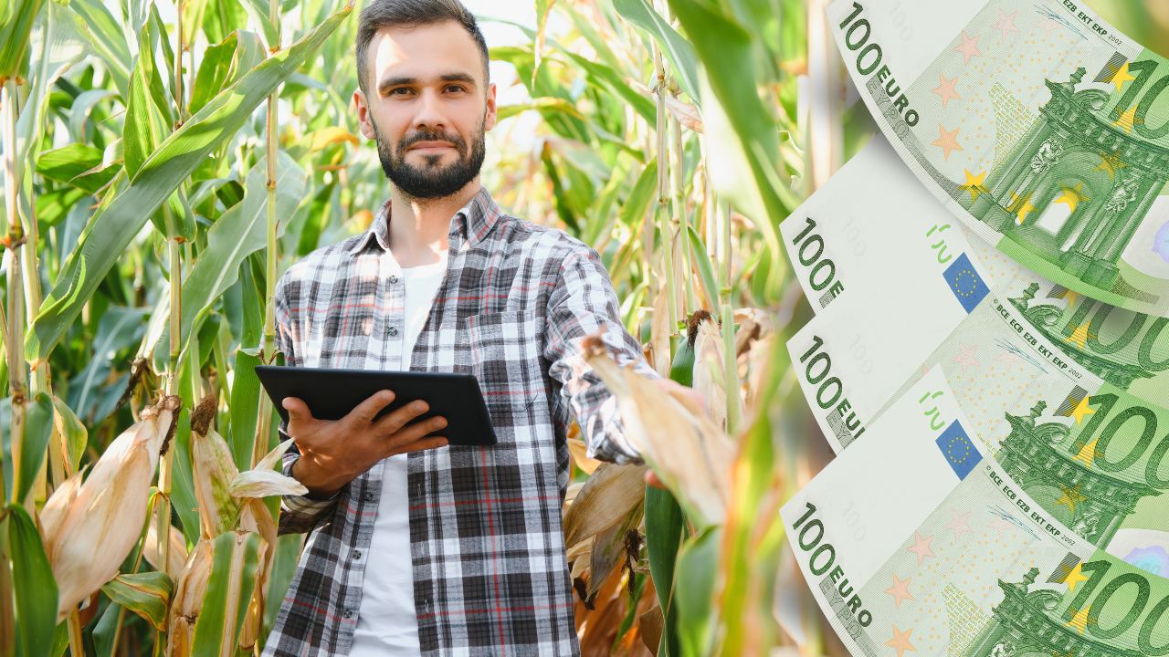 Fermier la control și avans APIA