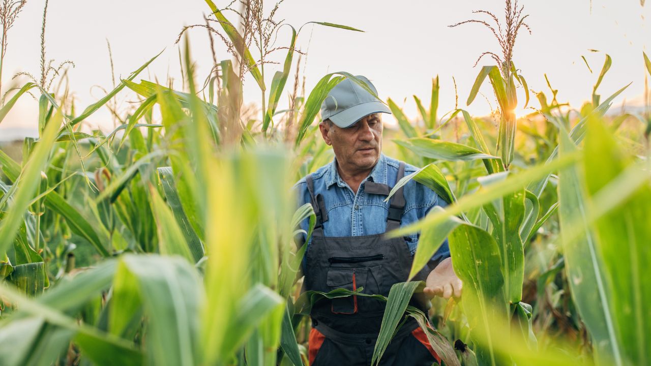 Profesia de fermier, respectată