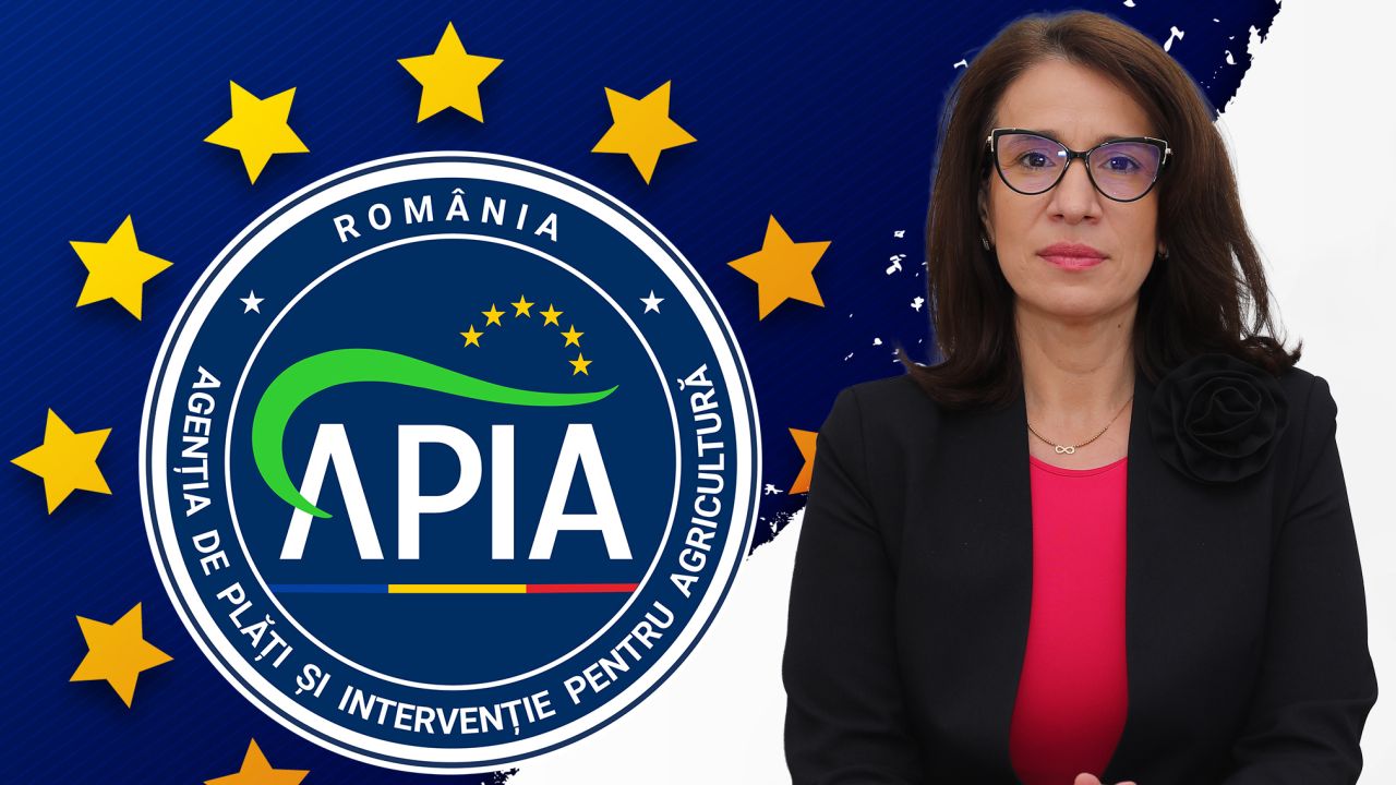 Gabriela Nicoleta Andrei