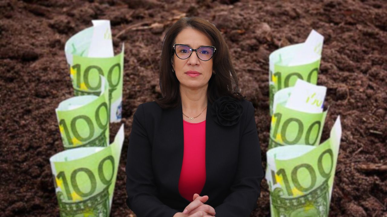 Gabriela Nicoleta Andrei - APIA