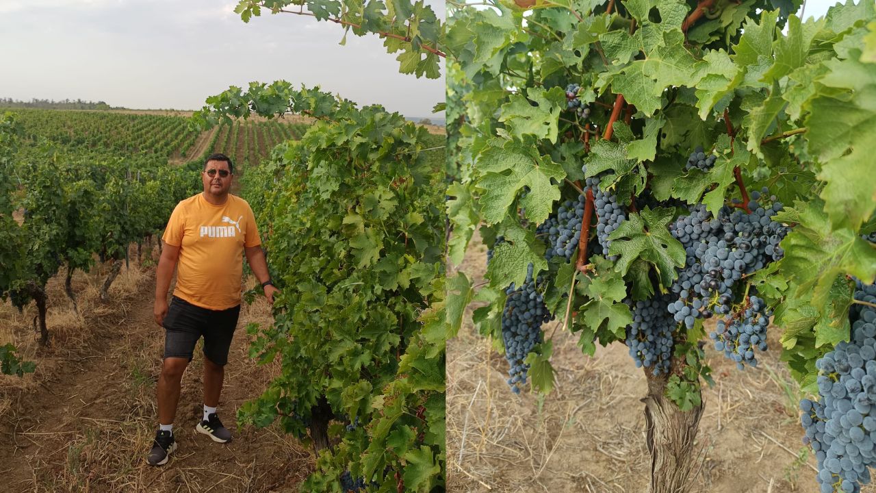Marian Anghel, director SC Vie Vin Vînju Mare SRL