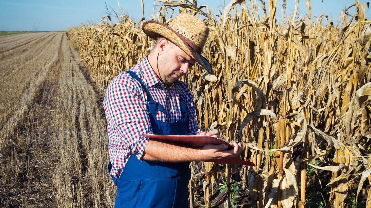 Poprire pe subvenția APIA legislație