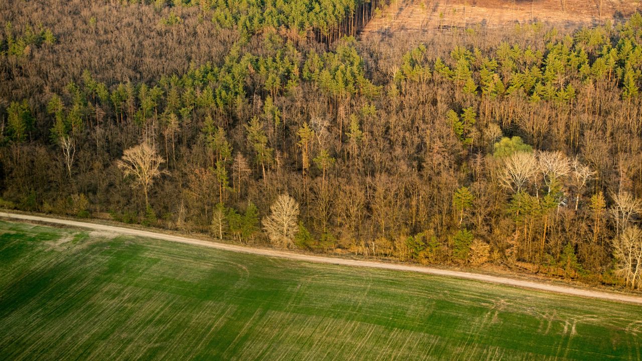Perdea naturală de protecție