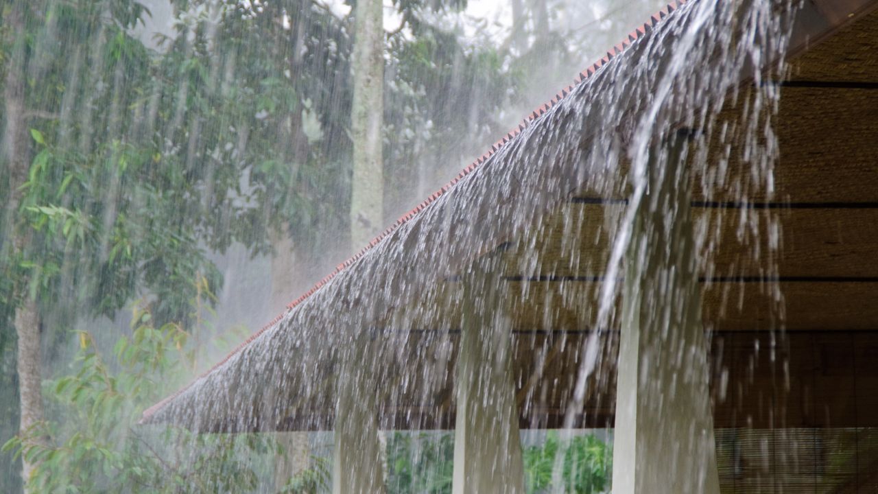 Ploi torențiale de toamnă