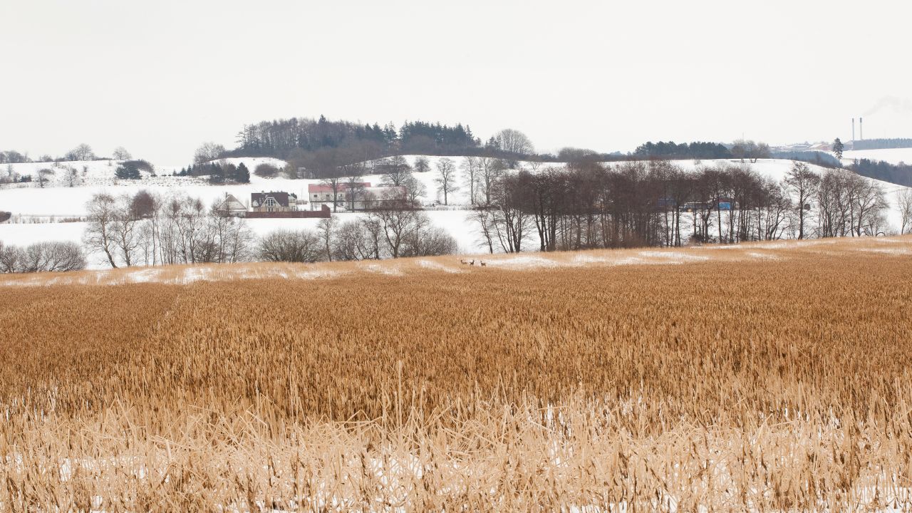 Legislație nouă pentru impozitarea terenurilor și caselor