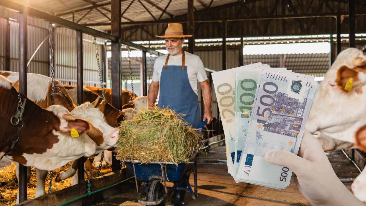 Noi plăți autorizate de APIA