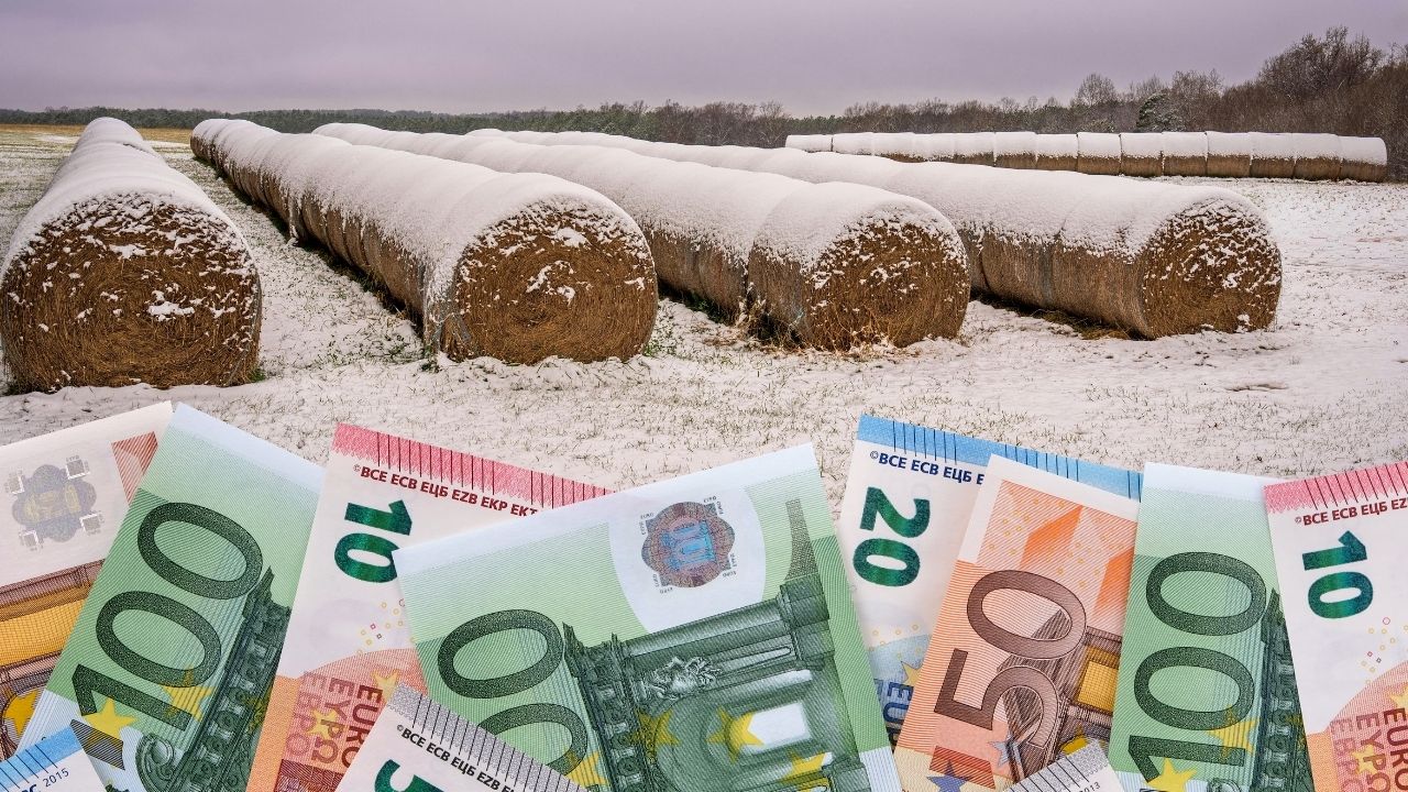 Plăți subvenții APIA