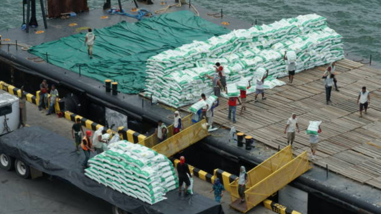 Import de îngrășăminte