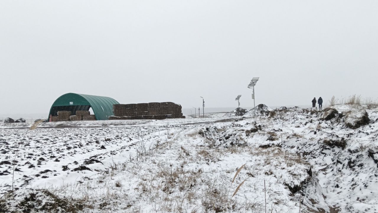 Ferma din Cetate, județul Dolj