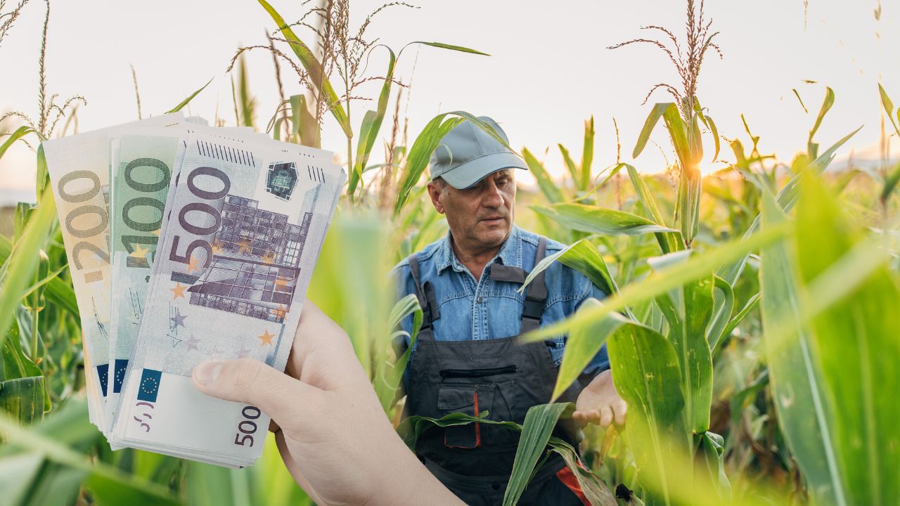 Noi plăți APIA din subvențiile aferente anului de cerere 2025