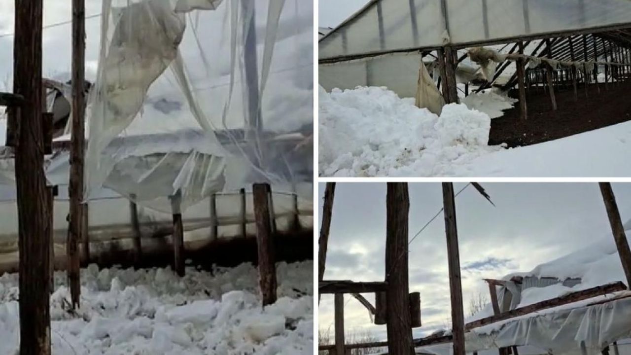 Solarii distruse de zăpadă