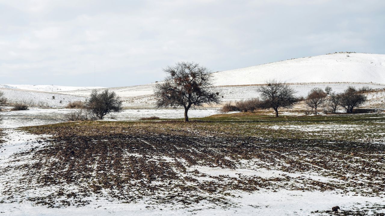 PD-28 – Menținerea zonelor neproductive/elemente de peisaj