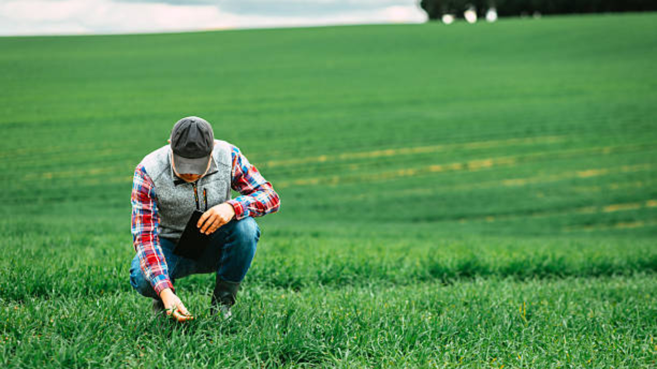 Campania APIA pentru subvenții