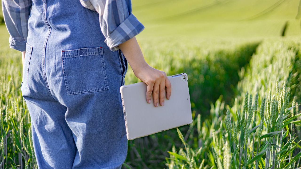 Control APIA prin monitorizare