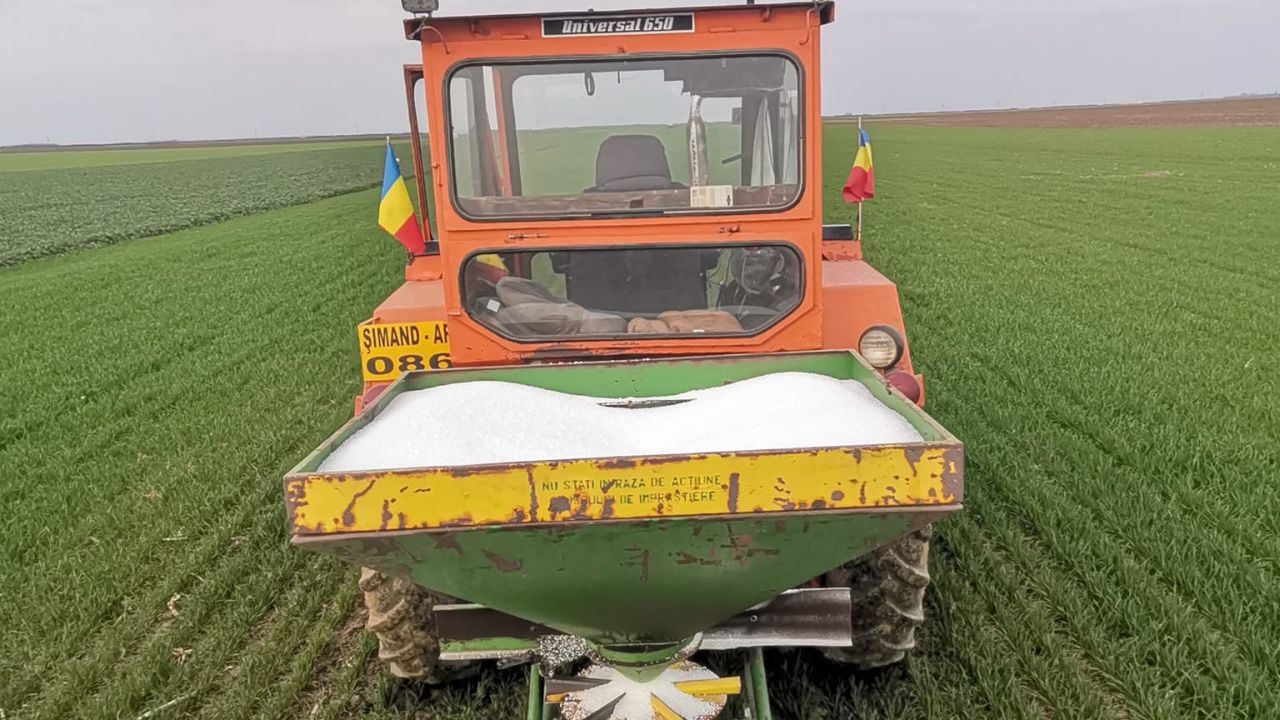 Fertilizare de primăvară la grâu