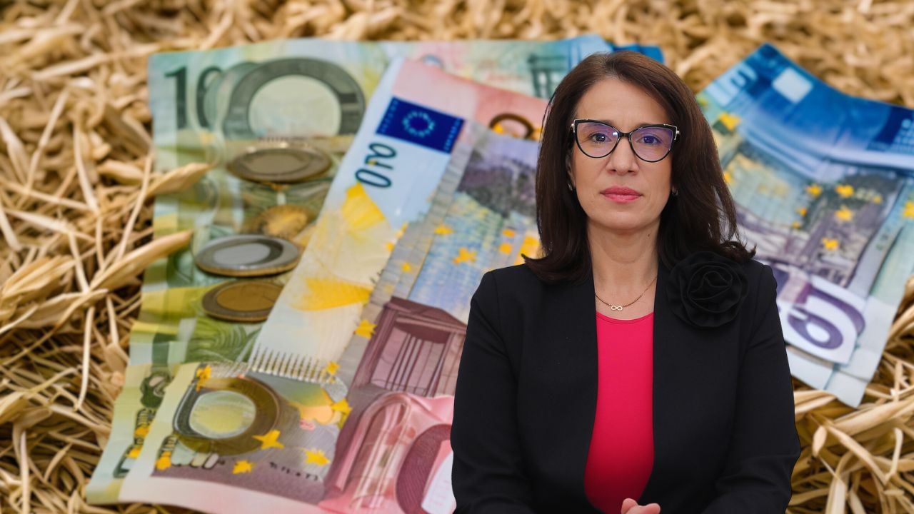 Gabriela Nicoleta Andrei - APIA