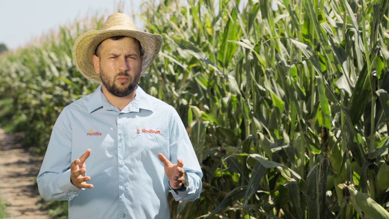 Sebastian Jitcovici, Rodbun, lângă o solă cu BC 323