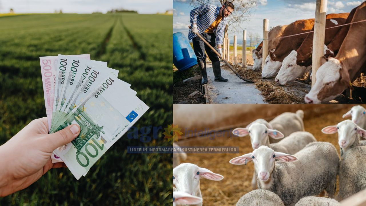 Plata ANT în vegetal și zootehnie