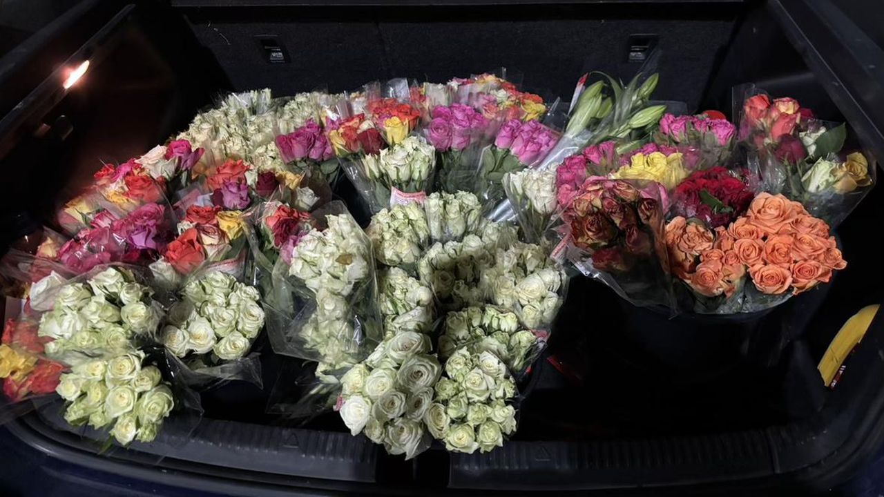 Portbagaj plin cu flori luate la preț redus