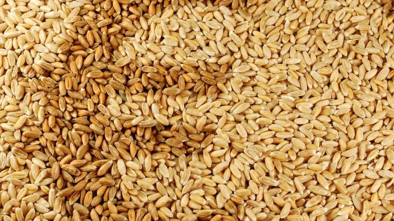 Prețul grâului pe piața europeană