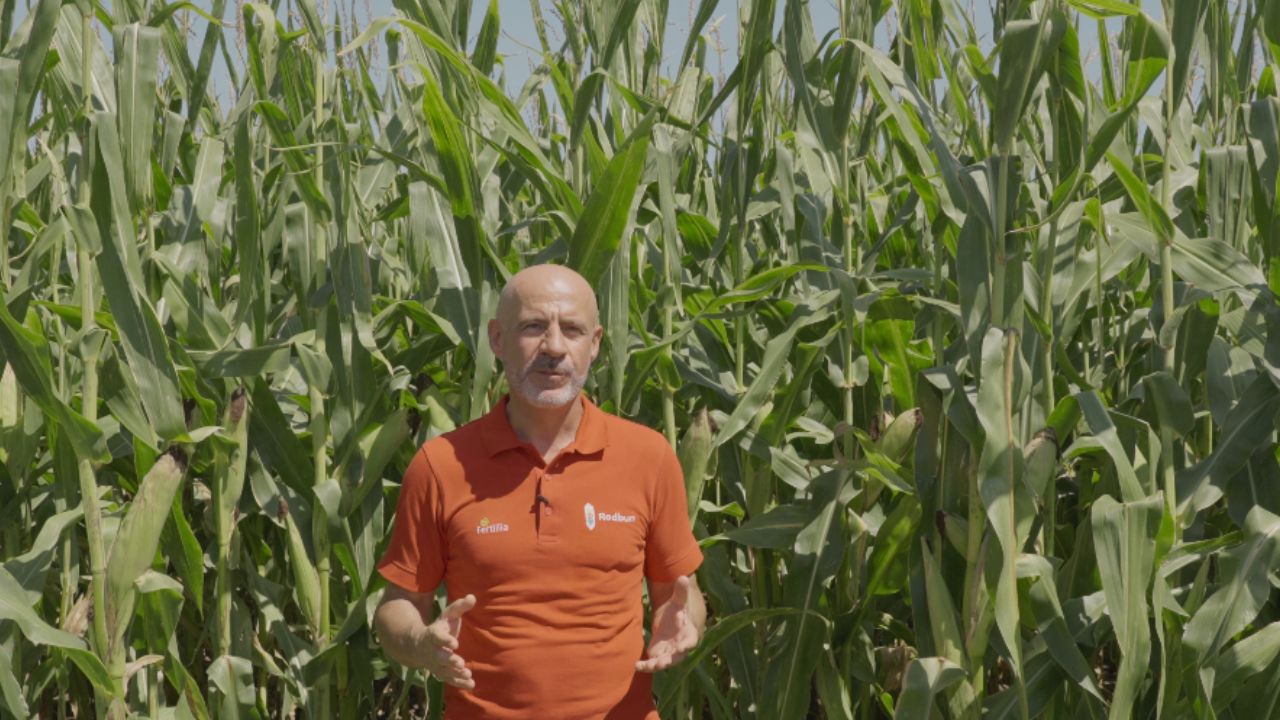 Luigi Pîrvulescu lângă un lan de Jumbo 48