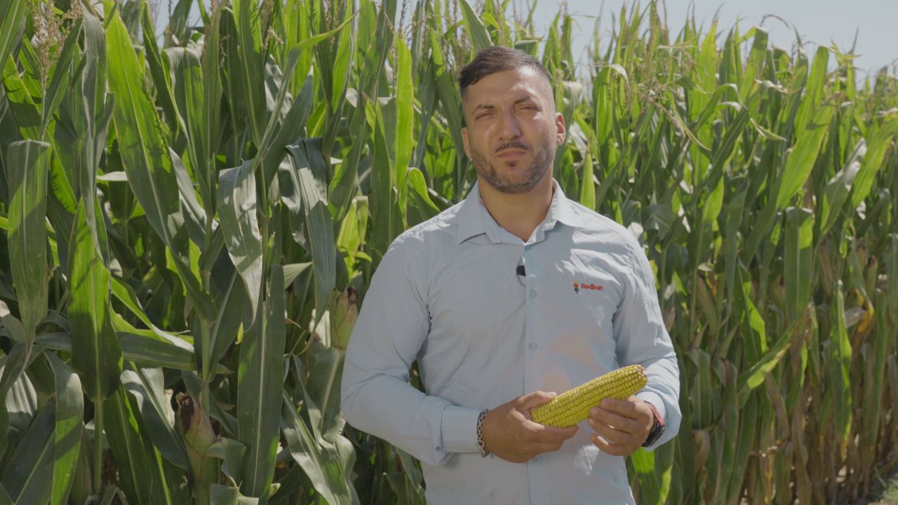 Florin Migdan, Rodbun, lângă porumbul BC Kekec