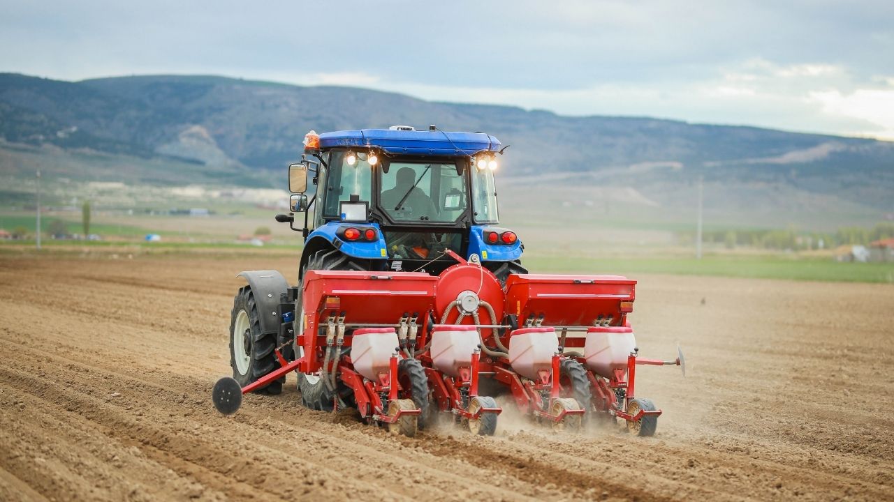 Scumpiri la motorină