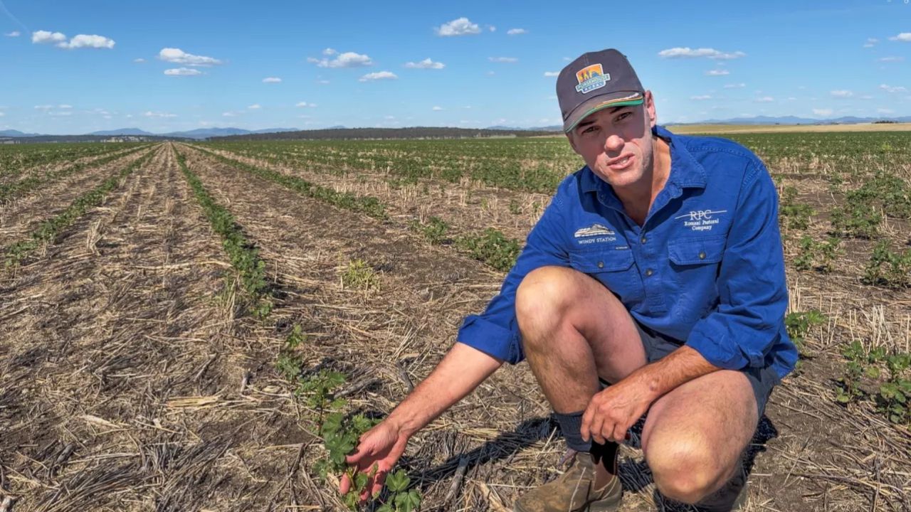David Lee, fermier din Australia